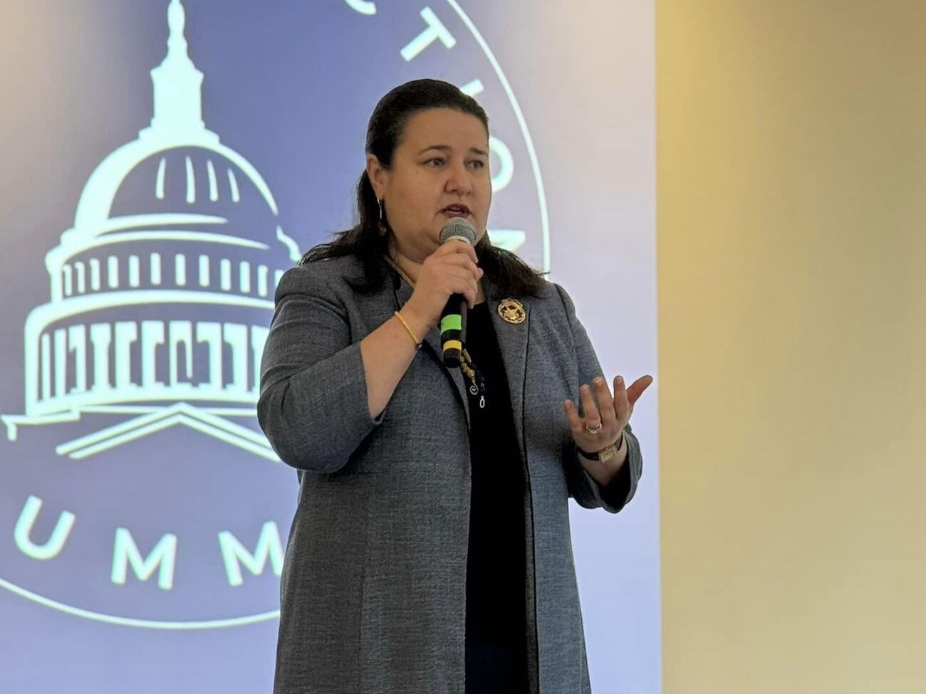 Маркарова розповіла про труднощі з пошуком техніки і зброї для України