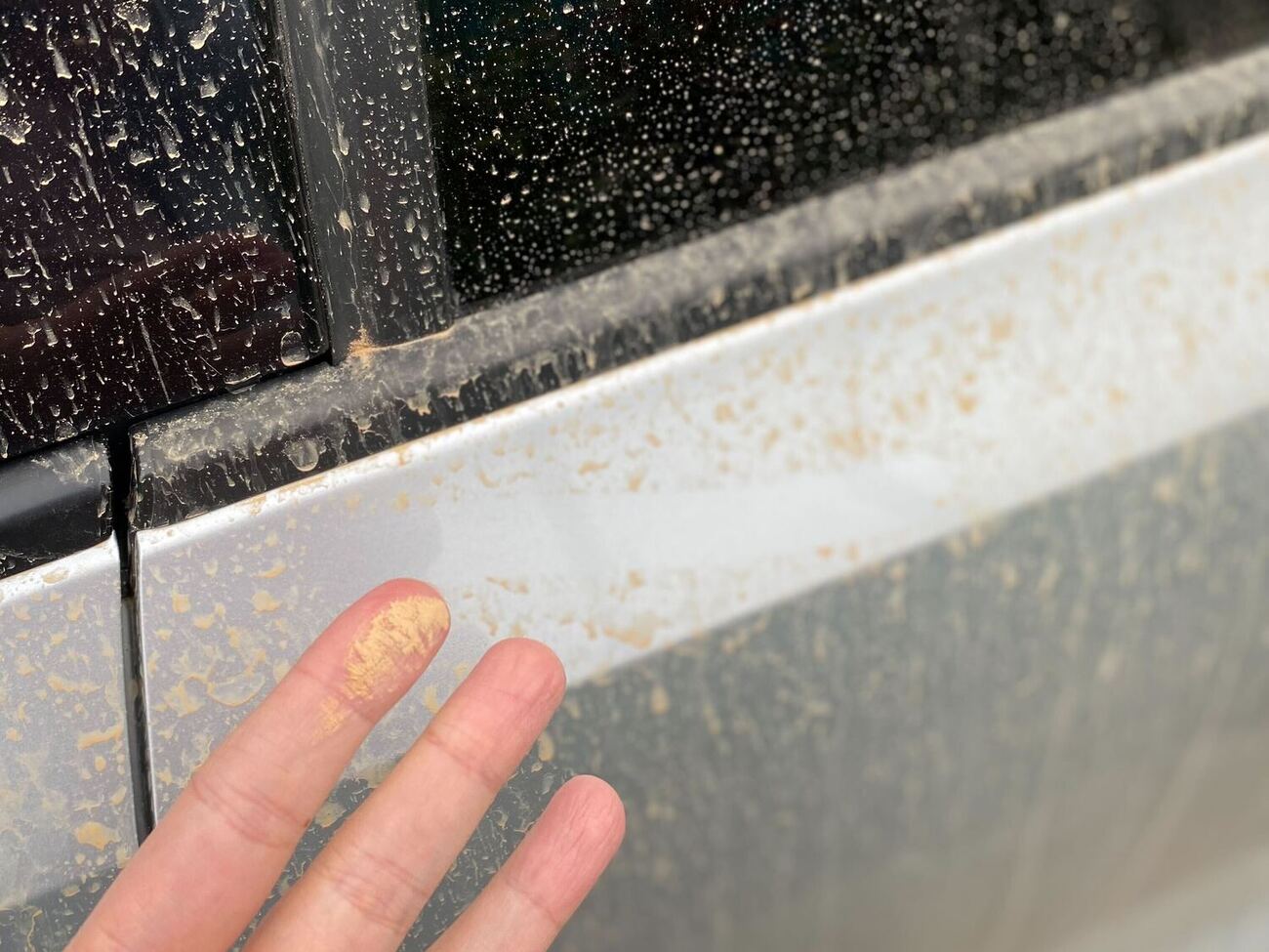 По прогнозам, пыль в Украине будет оставаться до 26 апреля