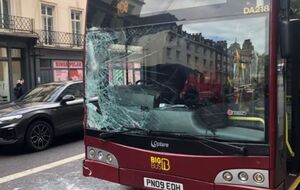 Лошади повредили лобовое стекло припаркованного двухэтажного туристического автобуса