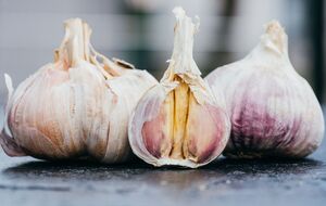 Головки чеснока будут крупными