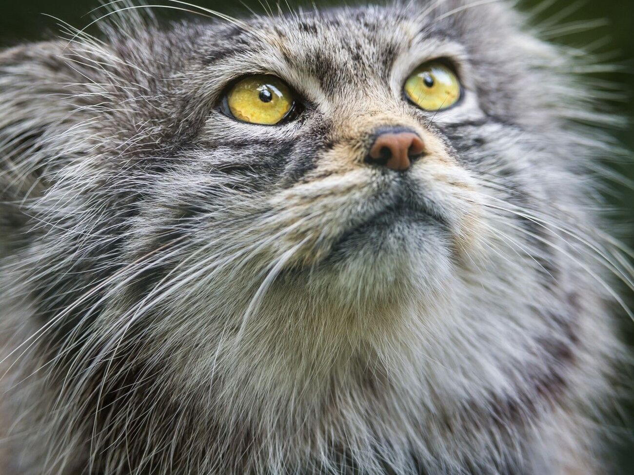 В результате удара по Смеле была поражена гражданская инфраструктура и повреждено логистическое и железнодорожное сообщение, говорят в ВСУ