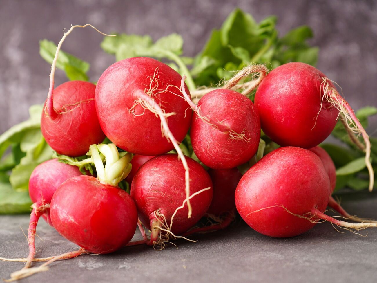 Редис лучше хранится в сухом виде