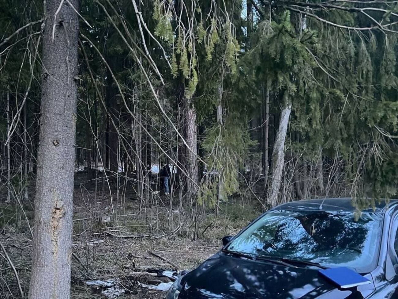 Полицейских обнаружили возле проселочной дороги, пишут в РФ