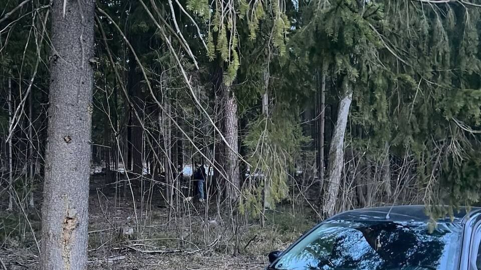 Полицейских обнаружили возле проселочной дороги, пишут в РФ