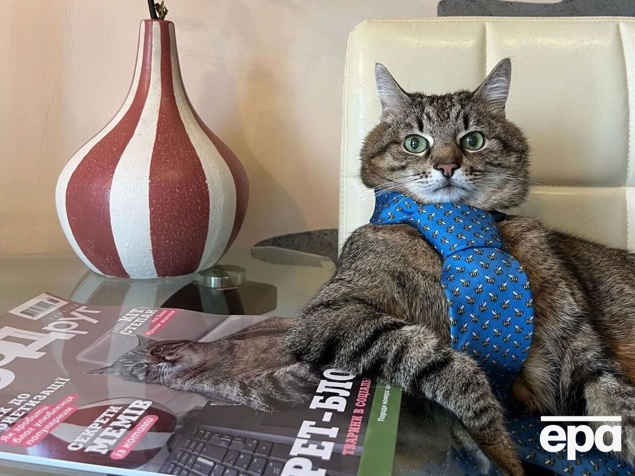 Сейчас на страницу кота Степана подписаны 1,4 млн фолловеров