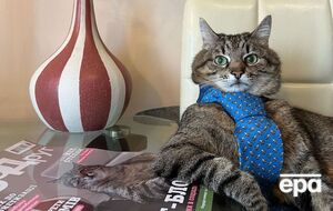 Сейчас на страницу кота Степана подписаны 1,4 млн фолловеров