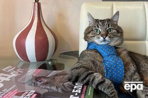 Сейчас на страницу кота Степана подписаны 1,4 млн фолловеров