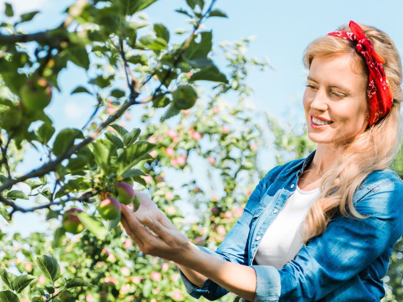 Для здоровья плодовых деревьев нужно обезопасить их от вредителей