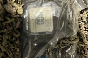 Саморобні вибухові пристрої заховали в упаковках із-під чаю