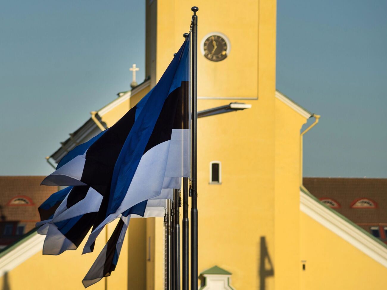 За словами Певкура, пріоритетом для Естонії зараз є доправлення боєприпасів в Україну й навчання українських військових