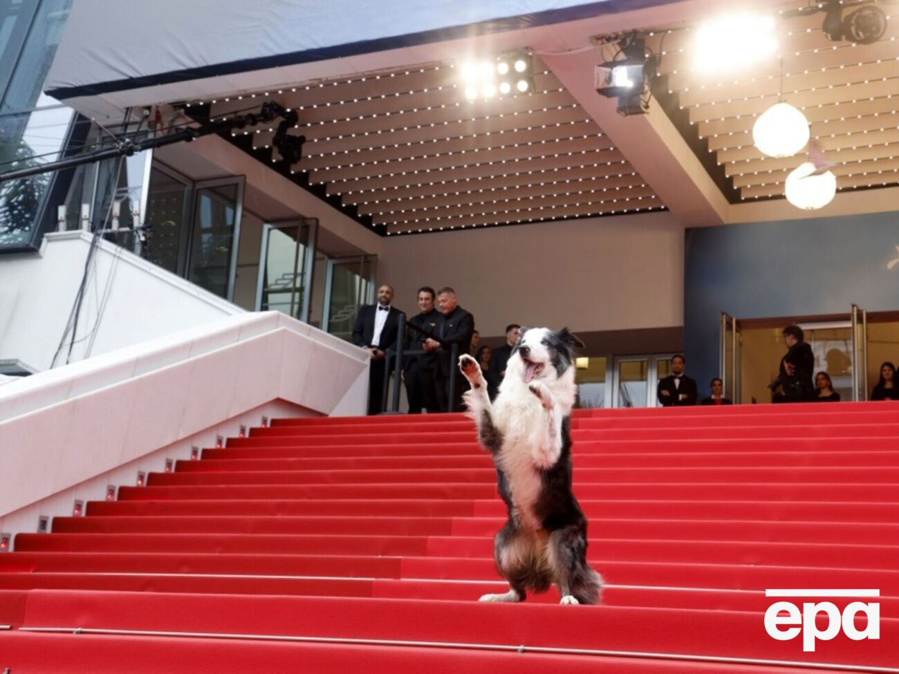 Месси сыграл в фильме "Анатомия падения" роль второго плана – собаки-поводыря по кличке Снуп