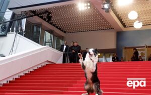 Месси сыграл в фильме "Анатомия падения" роль второго плана – собаки-поводыря по кличке Снуп