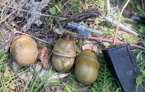 Пакет с гранатами во время работ в лесной зоне заметил мужчина, рассказали в патрульной полиции