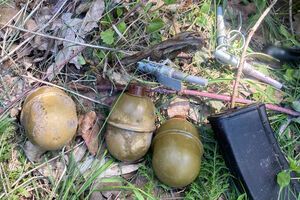 Пакет с гранатами во время работ в лесной зоне заметил мужчина, рассказали в патрульной полиции