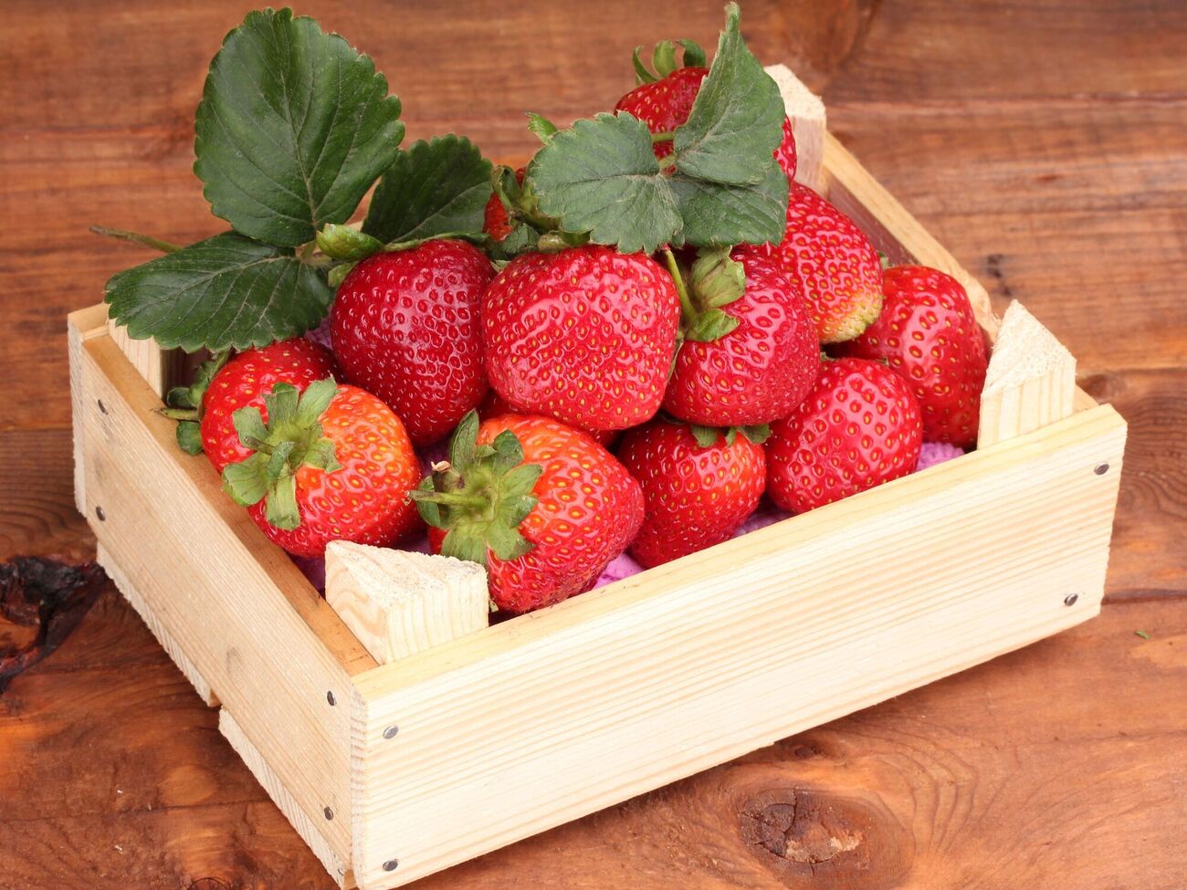 По словам Мельник, они выращивают клубнику по органической технологии