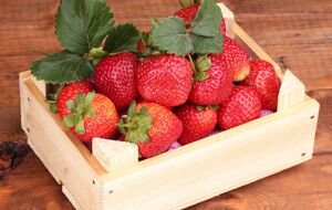 По словам Мельник, они выращивают клубнику по органической технологии