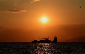 Причину крушения власти Румынии не назвали