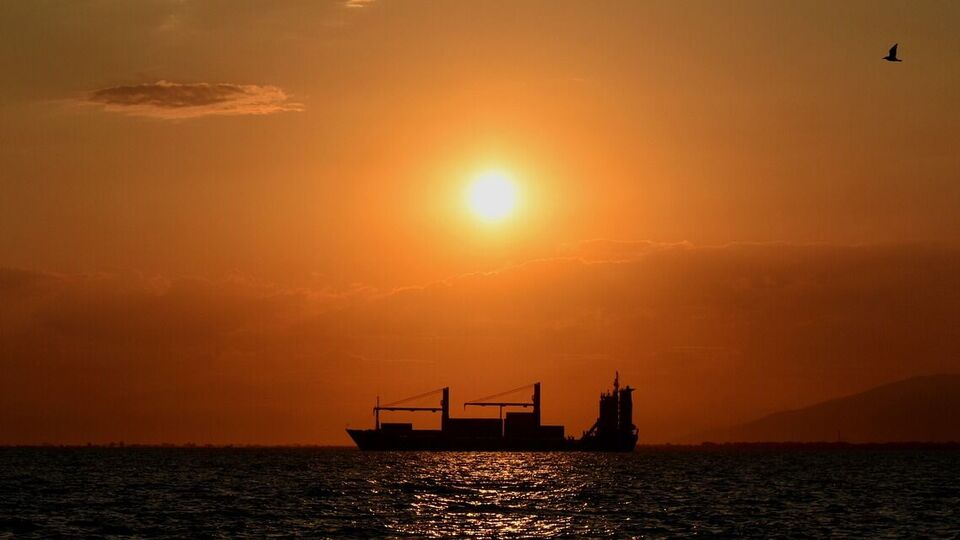Причину крушения власти Румынии не назвали