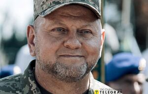 8 февраля Зеленский уволил Залужного с должности главнокомандующего ВСУ