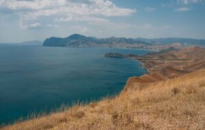 У жителей Крыма забрали землю из-за махинаций с документами, заявили в ЦНС
