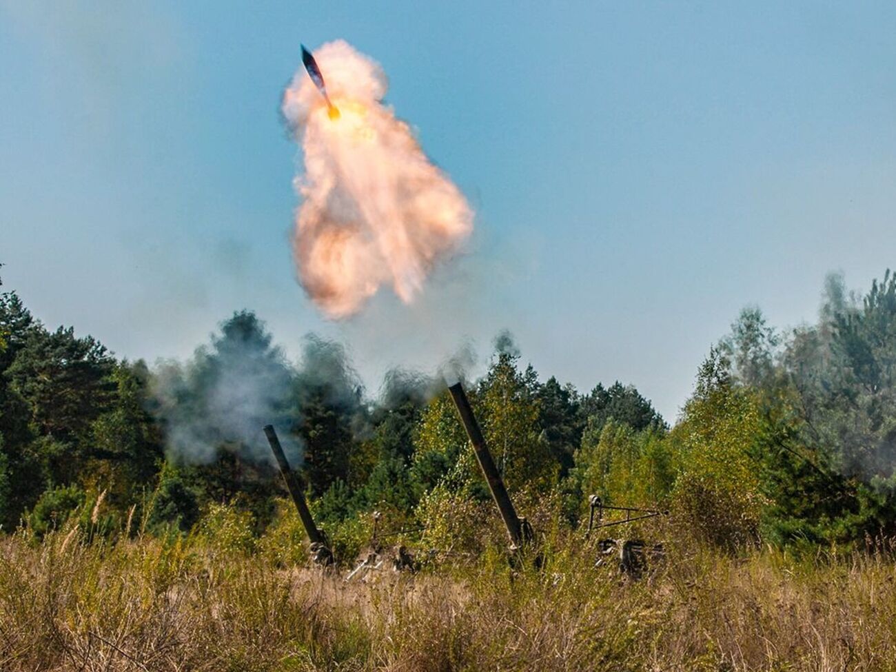 Тяжелую артиллерию 2С4 "Тюльпан" 240-мм калибра украинские военные достали вблизи одной из посадок Харьковской области, отметили в ВСУ