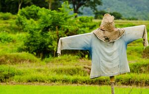 Пугало – один из проверенных методов