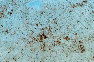 Синоптик предупредил, что пыль может привести к помутнению неба и "грязным" дождям