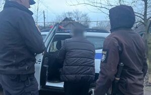 По данным полиции, от сексуального насилия водителя пострадали трое учеников гимназии