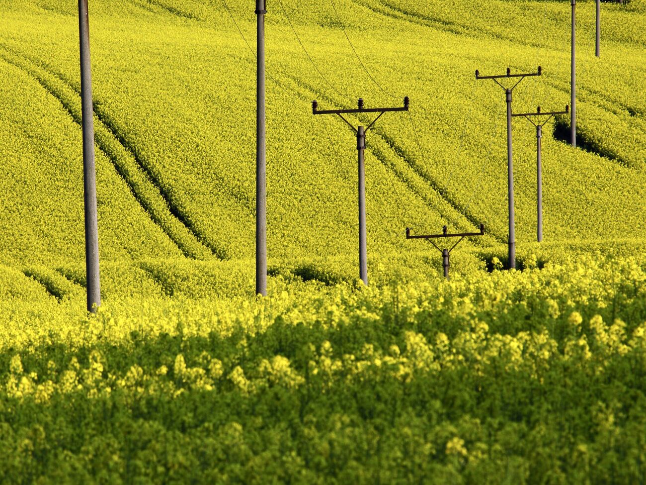 На "Гарантированного покупателя" возложена специальная обязанность по обеспечению доступности электрической энергии для бытовых потребителей, отмечает "РБК-Украина"