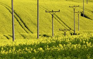 На "Гарантированного покупателя" возложена специальная обязанность по обеспечению доступности электрической энергии для бытовых потребителей, отмечает "РБК-Украина"