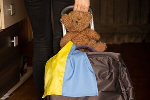 Самостоятельно переправить ребенка на контролируемую Украиной территорию мать не могла, отметили в министерстве