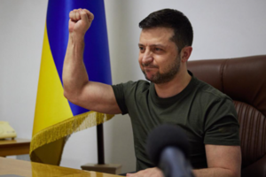 МВД РФ не уточняет, по какой уголовной статье Зеленского объявили в розыск