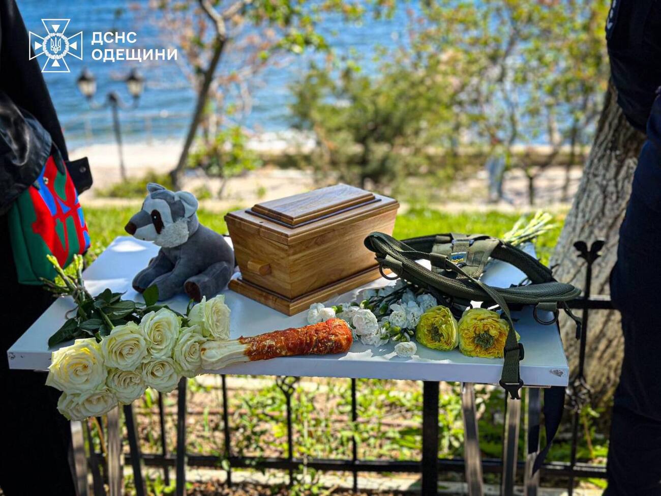 Собака погибла 29 апреля