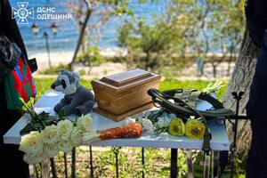 Собака загинув 29 квітня