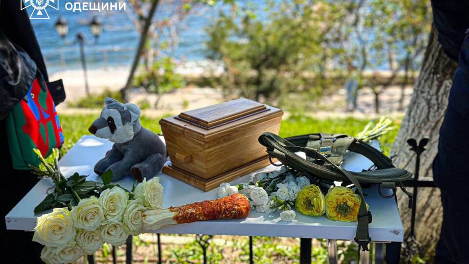 Собака загинув 29 квітня