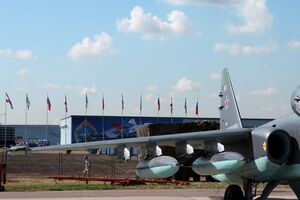 Силам обороны Украины нужны еще средства ПВО, даже переносные, чтобы сбивать больше российских самолетов, заявил Евлаш