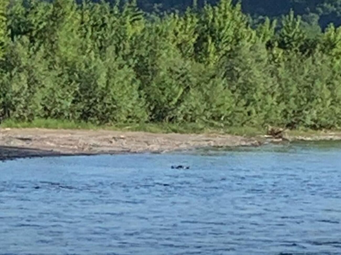 По данным ГПСУ, одного из утопленников нашли на румынской стороне