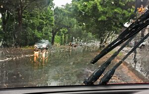 Синоптики ожидают, что непогода в Украине продержится до конца сегодняшнего дня