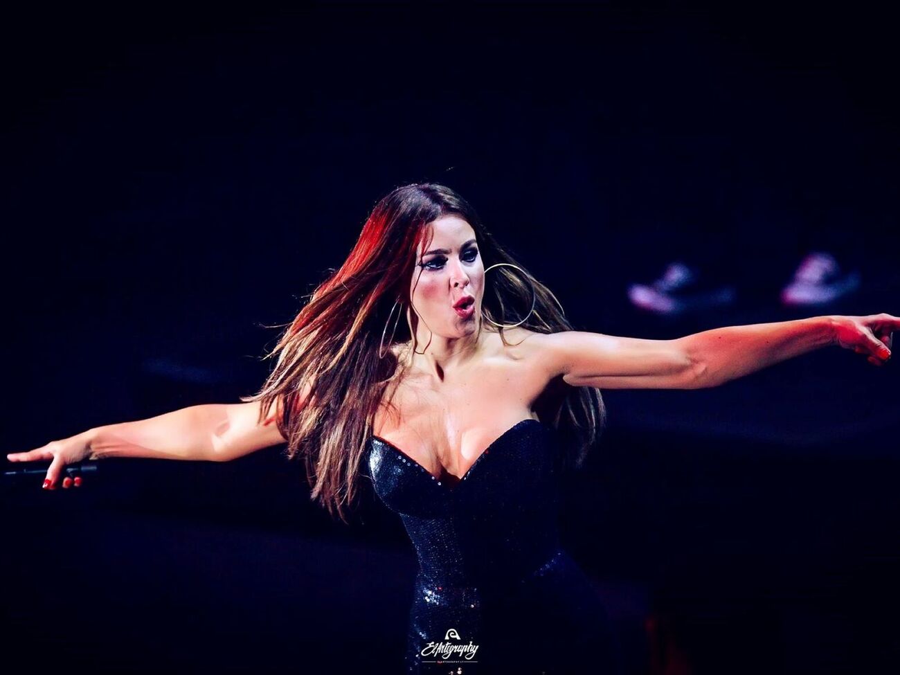 Перман прекратил сотрудничество с Ани Лорак в 2013 году после шести лет совместной работы