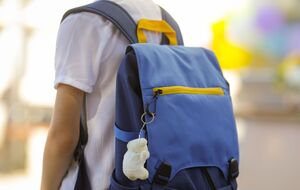 Темы международного гуманитарного права могут добавить в программу школьных дисциплин