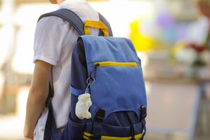 Теми міжнародного гуманітарного права можуть додати у програму шкільних дисциплін