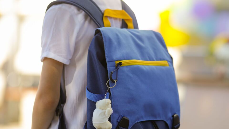 Темы международного гуманитарного права могут добавить в программу школьных дисциплин