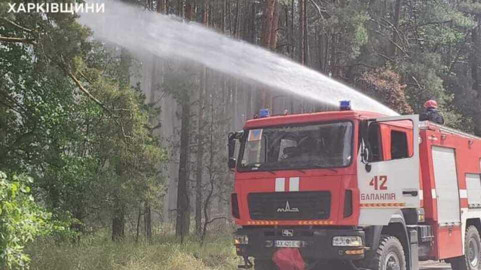 По данным ОВА, удар пришелся по лесополосе
