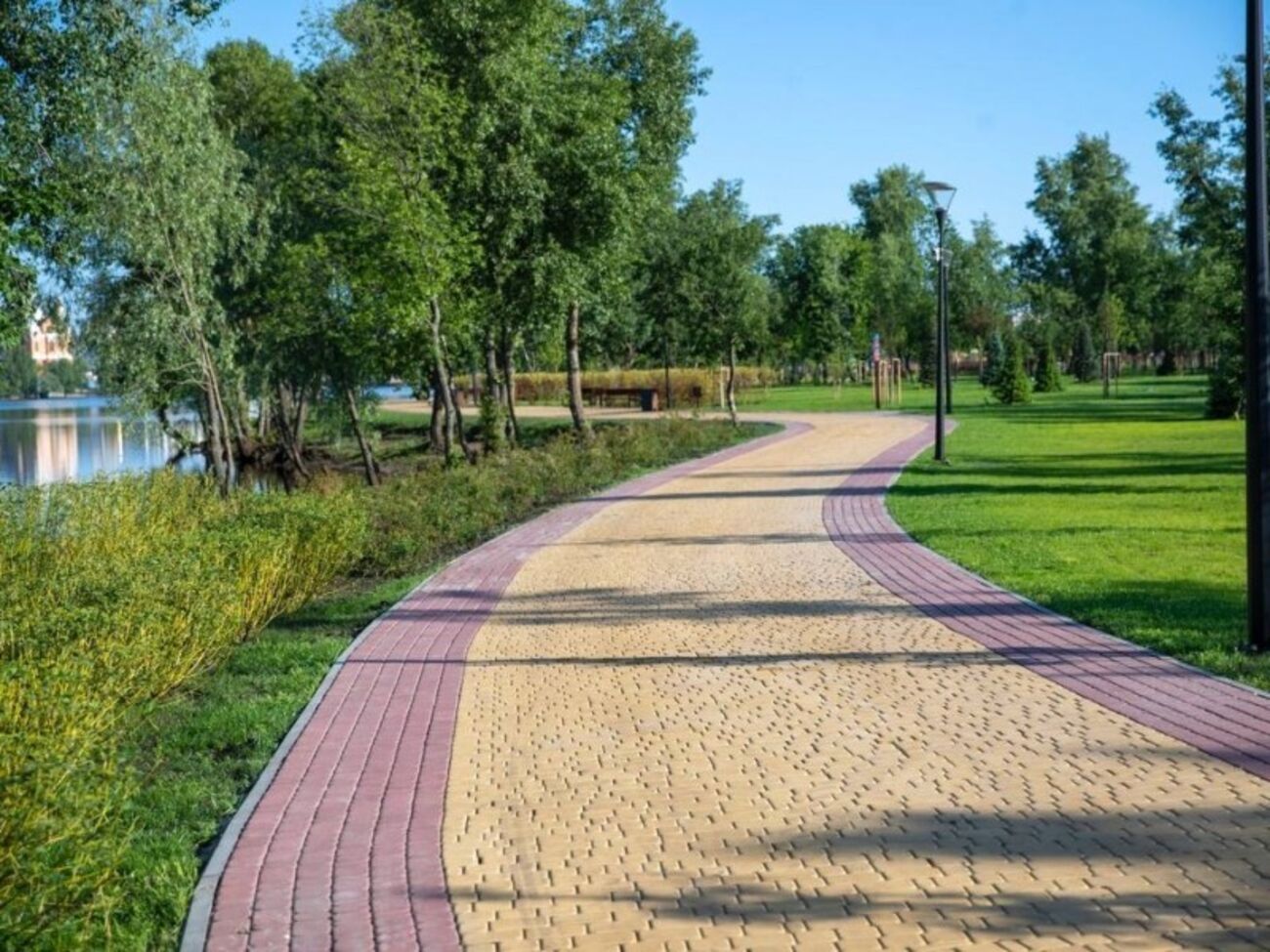 Столетние деревья не могли вырасти на острове, искусственно созданном в 1980-х годах, написал народный депутат VIII созыва Александр Черненко