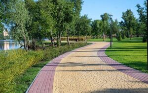 Столетние деревья не могли вырасти на острове, искусственно созданном в 1980-х годах, написал народный депутат VIII созыва Александр Черненко