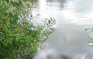 Течением тело вынесло на украинский берег. Пограничникам удалось вытащить утопленника