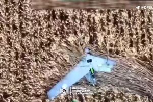 Безпілотник ZALA упав у полі