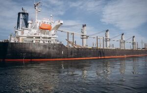 Перевалка в портах України становить майже 46 млн тонн за п'ять місяців 2024 року