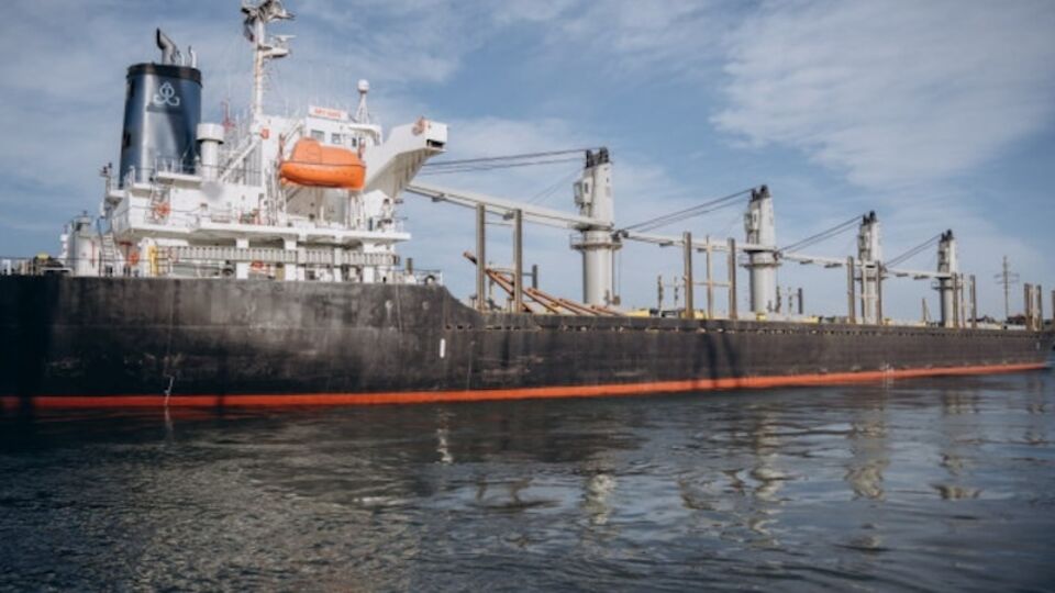 Перевалка в портах Украины составляет почти 46 млн тонн за пять месяцев 2024 года