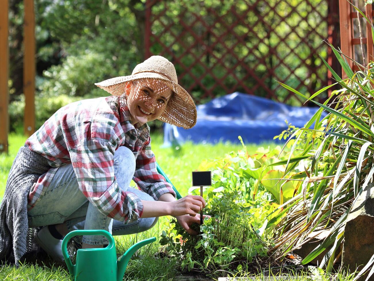 При посадке растений необходимо учитывать совместимость одних культур с другими